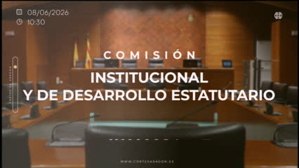 Comisión Institucional y de...
