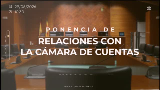 poster Ponencia de Relaciones con la Cámara de Cuentas 