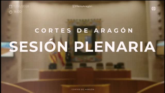poster Sesión plenaria 11 y 12 de junio de 2026
