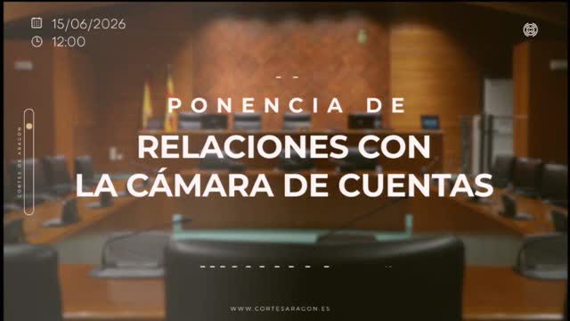 poster Ponencia de Relaciones con la Cámara de Cuentas