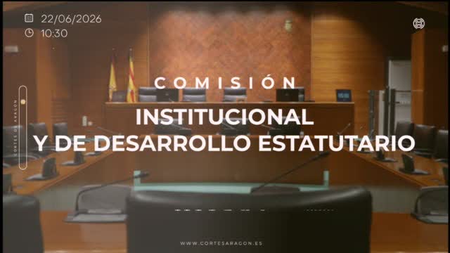 poster Comisión Institucional y de Desarrollo Estatutario/B-17