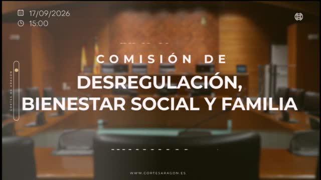 poster Comisión de Desregulación, Bienestar Social y Familia/B-24