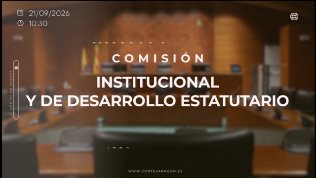 poster Comisión Institucional y de Desarrollo Estatutario/B-25
