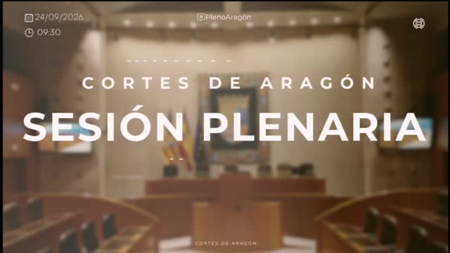poster Sesión plenaria 24 y 25 de septiembre de 2026