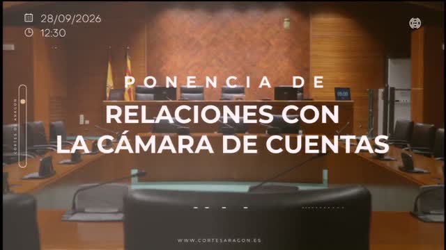 poster Ponencia de Relaciones con la Cámara de Cuentas 