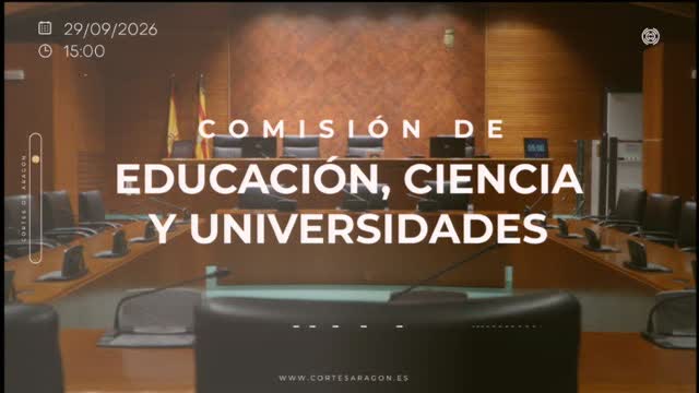 poster Comisión de Educación, Ciencia y Universidades/B-29