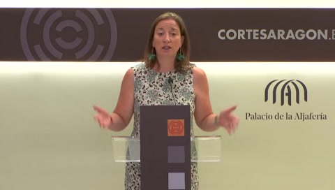 Rueda de prensa del G. P. Socialista