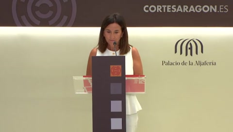 Rueda de prensa del G. P. Socialista