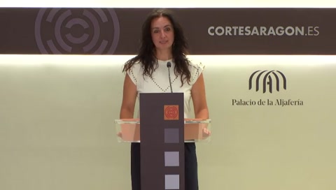 Rueda de prensa de la A. P. Izquierda Unida de Aragón (G. P. Mixto)