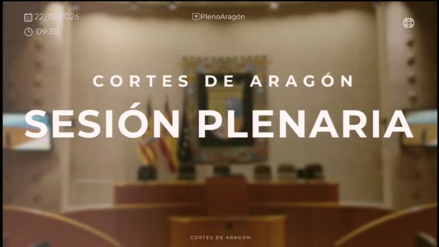 poster Sesión plenaria 22 y 23 de octubre de 2026