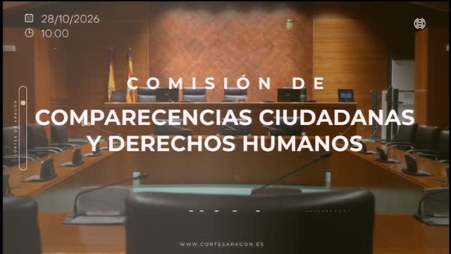 poster Comisión de Comparecencias Ciudadanas y Derechos Humanos/R