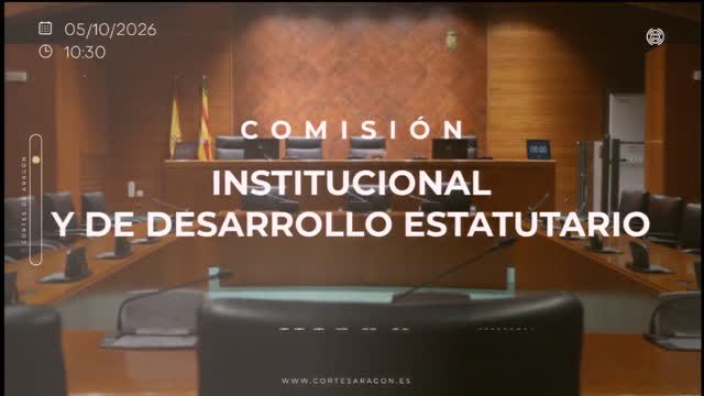 poster Comisión Institucional y de Desarrollo Estatutario/B-33