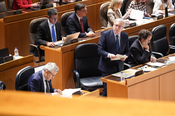 #8 - (sin descripción)