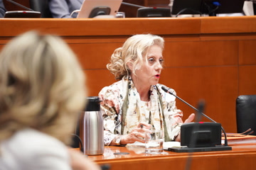 #2 - (sin descripción)