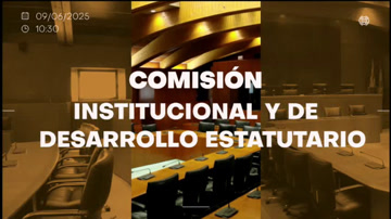 poster Comisión Institucional y de Desarrollo Estatutario/B-197