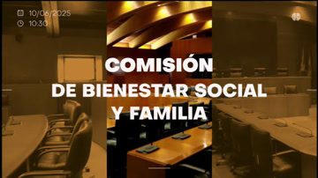 poster Comisión de Bienestar Social y Familia/B-198