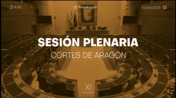 poster Sesión plenaria 12 y 13 de junio de 2025
