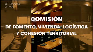poster Comisión de Fomento, Vivienda, Logística y Cohesión Territorial/B-199