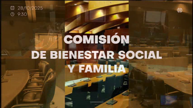poster Comisión de Bienestar Social y Familia/B-218
