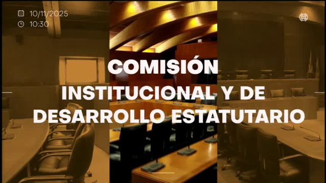 poster Comisión Institucional y de Desarrollo Estatutario/B-224