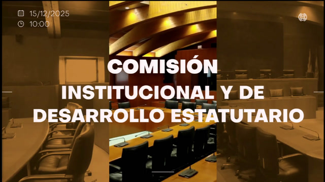 poster Comisión Institucional y de Desarrollo Estatutario/A-73