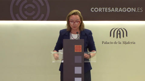 Rueda de prensa del G. P. Vox en Aragón