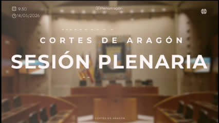 poster Sesión plenaria 14 de mayo...