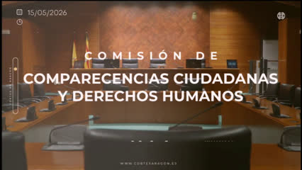 poster Comisión de Comparecencias...