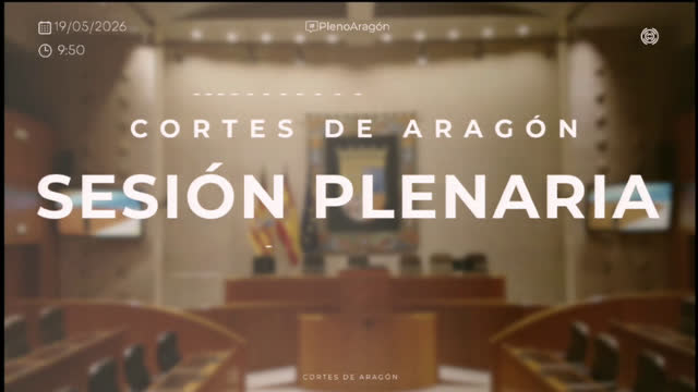 poster 2ª Sesión plenaria 19 de mayo de 2026/ELECCIÓN SENADORES