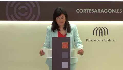 Rueda de prensa del G. P. Chunta Aragonesista
