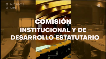 poster Comisión Institucional y de Desarrollo Estatutario/R