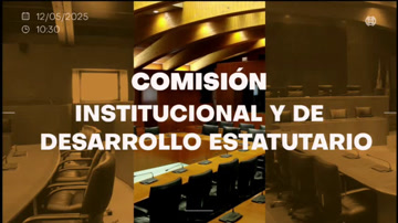 poster Comisión Institucional y de Desarrollo Estatutario/B-182