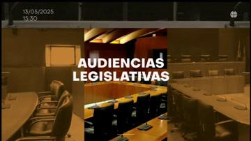 poster Comisión Institucional y de Desarrollo Estatutario/AUDIENCIAS LEGISLATIVAS