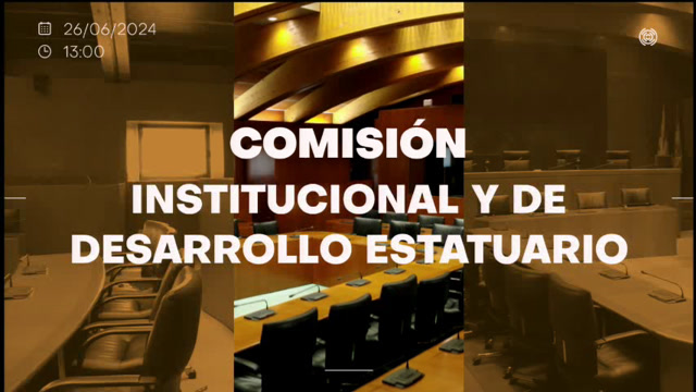 Comisión Institucional y de Desarrollo Estatutario/Informe Ponencia