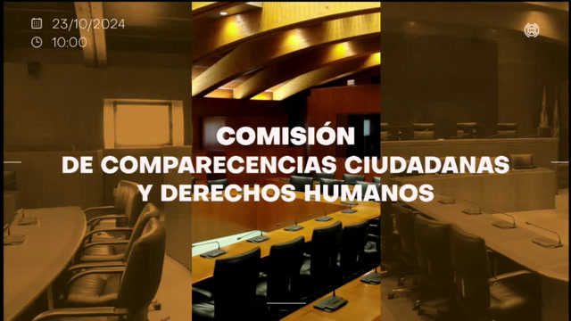 Comisión de Comparecencias Ciudadanas y Derechos Humanos/R