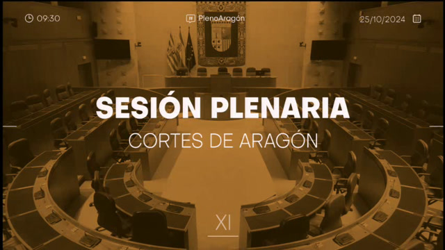 Sesión plenaria 25 de octubre de 2024