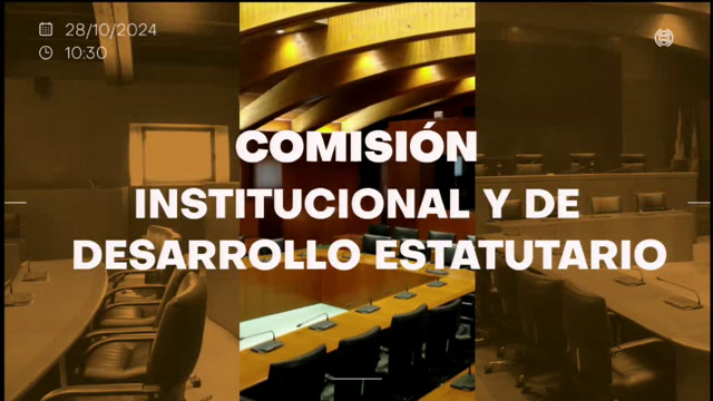 Comisión Institucional y de Desarrollo Estatutario/B-117