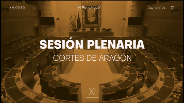 Sesión plenaria 14 y 15 de noviembre de 2024