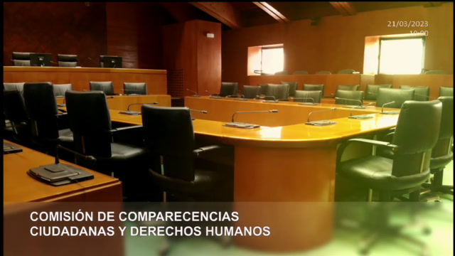 Comisión de Comparecencias Ciudadanas y Derechos Humanos/R
