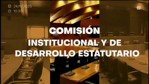 Comisión Institucional y de Desarrollo Estatutario/B-231